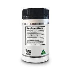 NXGEN Organic Grass-Fed Organic Beef Spleen