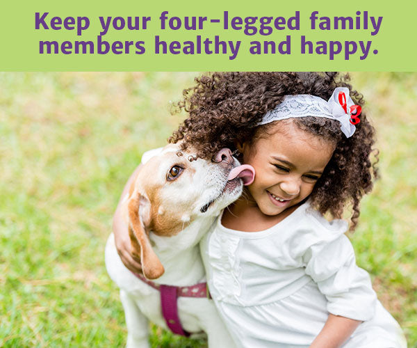 Super Foods for Super Healthy Pets!