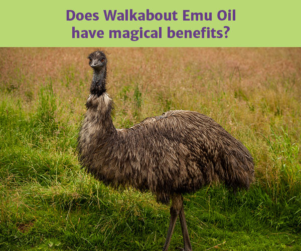 According to This Walkabout  Emu Oil User, Magic is Real!