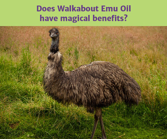 According to This Walkabout  Emu Oil User, Magic is Real!
