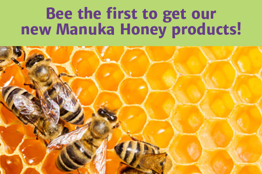 All You Need to Know about Manuka Honey